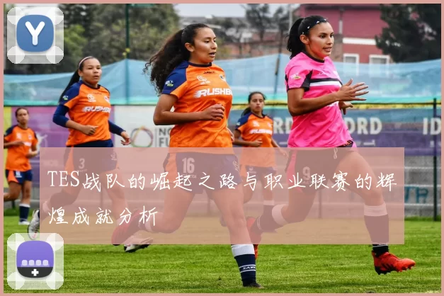 TES战队的崛起之路与职业联赛的辉煌成就分析