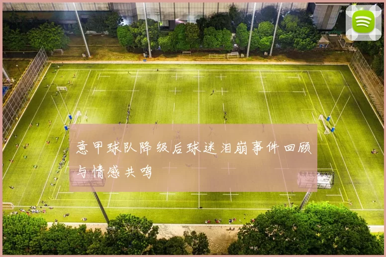 意甲球队降级后球迷泪崩事件回顾与情感共鸣