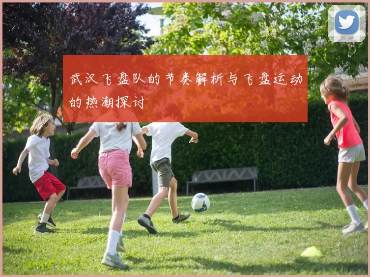 武汉飞盘队的节奏解析与飞盘运动的热潮探讨
