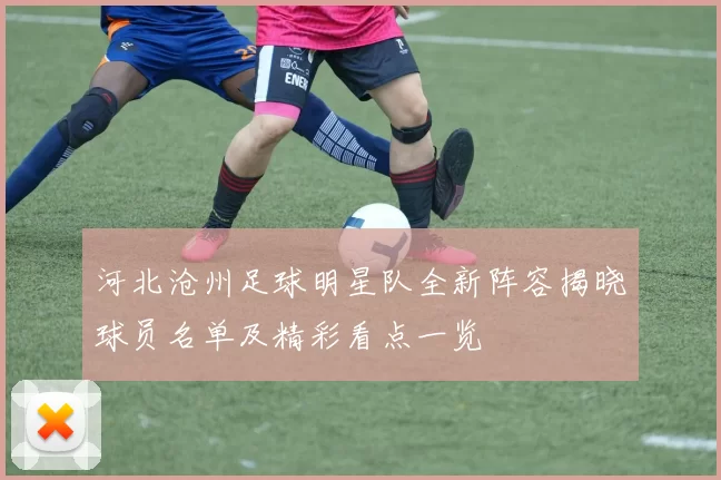 河北沧州足球明星队全新阵容揭晓球员名单及精彩看点一览