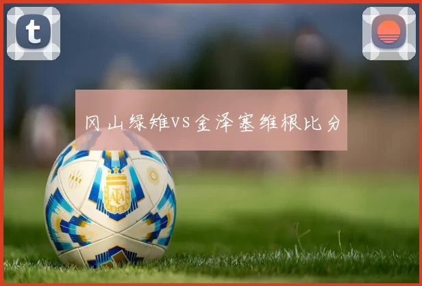 冈山绿雉vs金泽塞维根比分