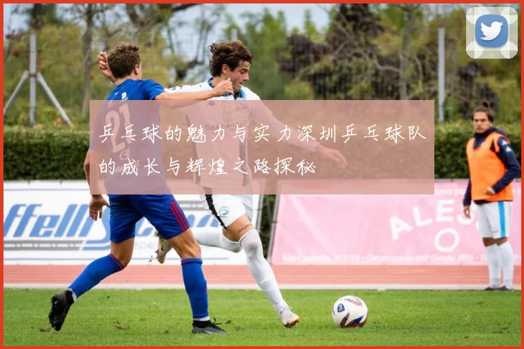 乒乓球的魅力与实力深圳乒乓球队的成长与辉煌之路探秘