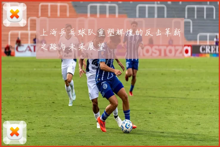 上海乒乓球队重塑辉煌的反击革新之路与未来展望