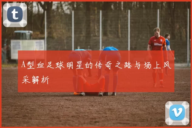 A型血足球明星的传奇之路与场上风采解析