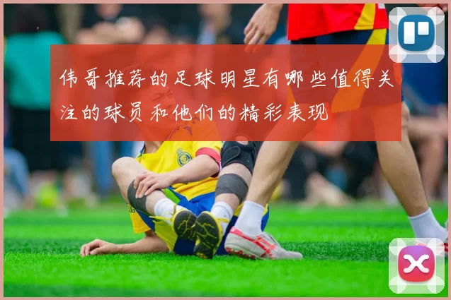 伟哥推荐的足球明星有哪些值得关注的球员和他们的精彩表现