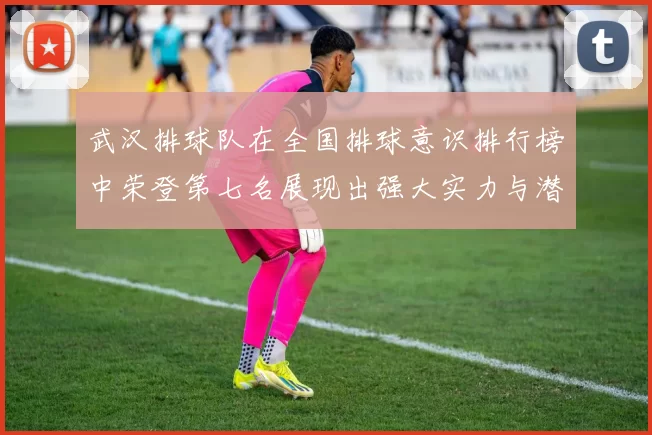 武汉排球队在全国排球意识排行榜中荣登第七名展现出强大实力与潜力
