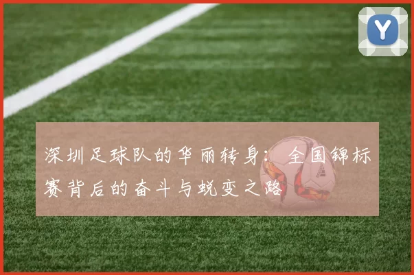 深圳足球队的华丽转身：全国锦标赛背后的奋斗与蜕变之路