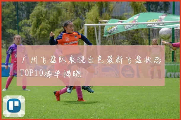 广州飞盘队表现出色最新飞盘状态TOP10榜单揭晓
