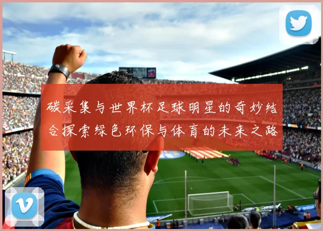 碳采集与世界杯足球明星的奇妙结合探索绿色环保与体育的未来之路