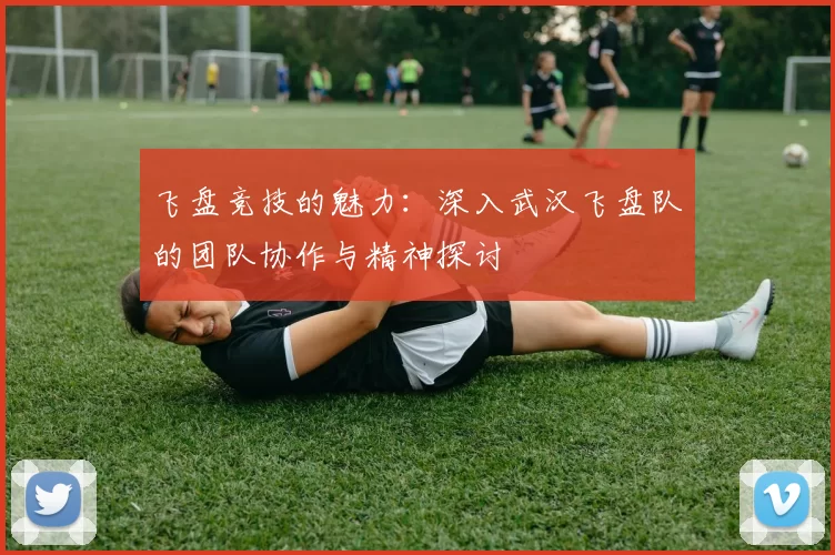 飞盘竞技的魅力：深入武汉飞盘队的团队协作与精神探讨
