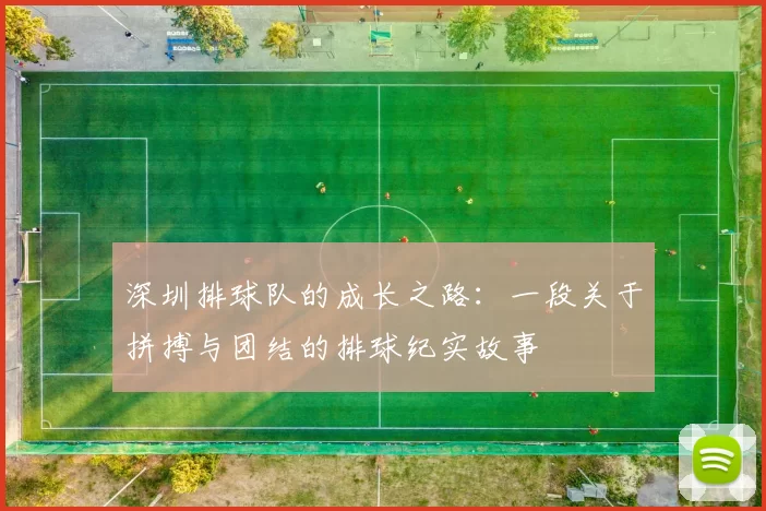 深圳排球队的成长之路：一段关于拼搏与团结的排球纪实故事