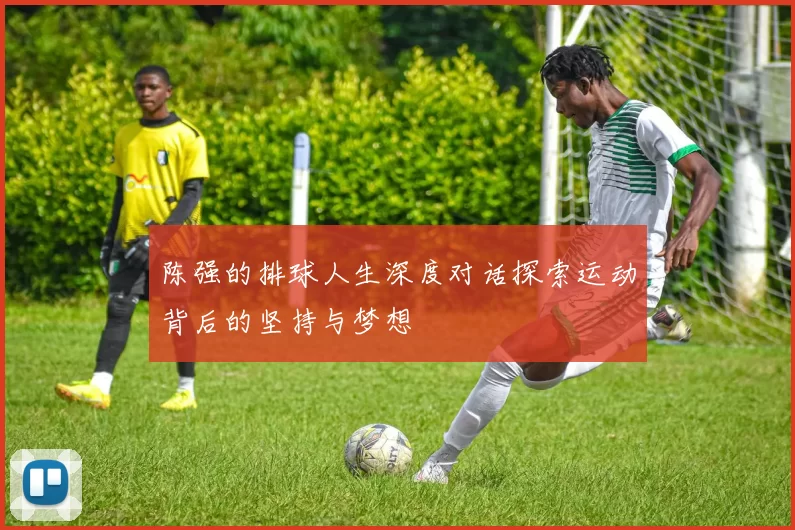陈强的排球人生深度对话探索运动背后的坚持与梦想