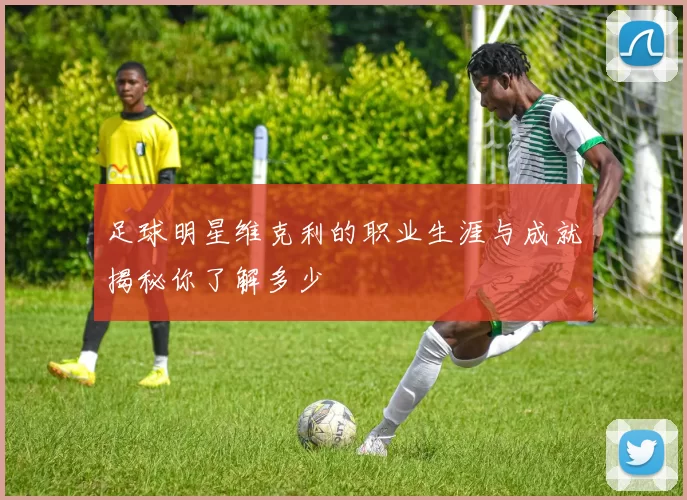 足球明星维克利的职业生涯与成就揭秘你了解多少