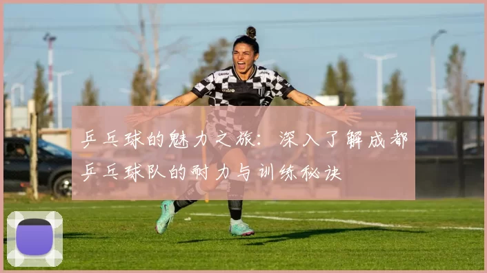 乒乓球的魅力之旅：深入了解成都乒乓球队的耐力与训练秘诀