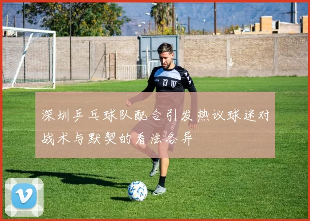 深圳乒乓球队配合引发热议球迷对战术与默契的看法各异