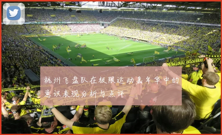 杭州飞盘队在极限运动嘉年华中的意识表现分析与点评