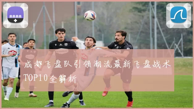 成都飞盘队引领潮流最新飞盘战术TOP10全解析