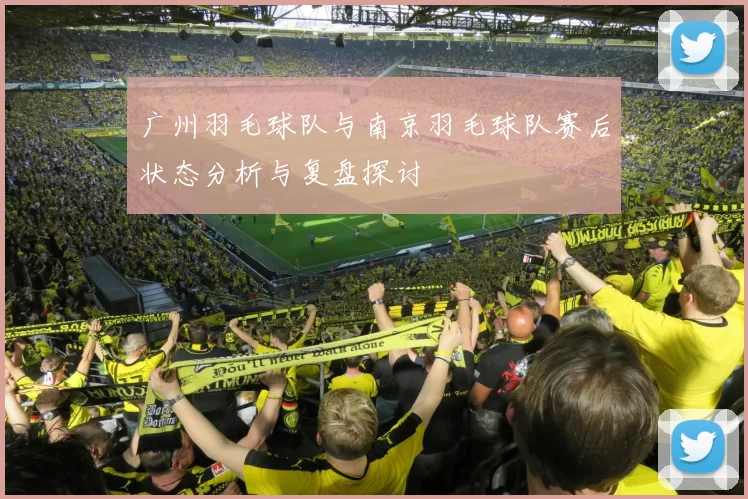 广州羽毛球队与南京羽毛球队赛后状态分析与复盘探讨