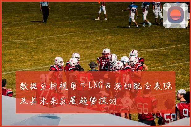 数据分析视角下LNG市场的配合表现及其未来发展趋势探讨