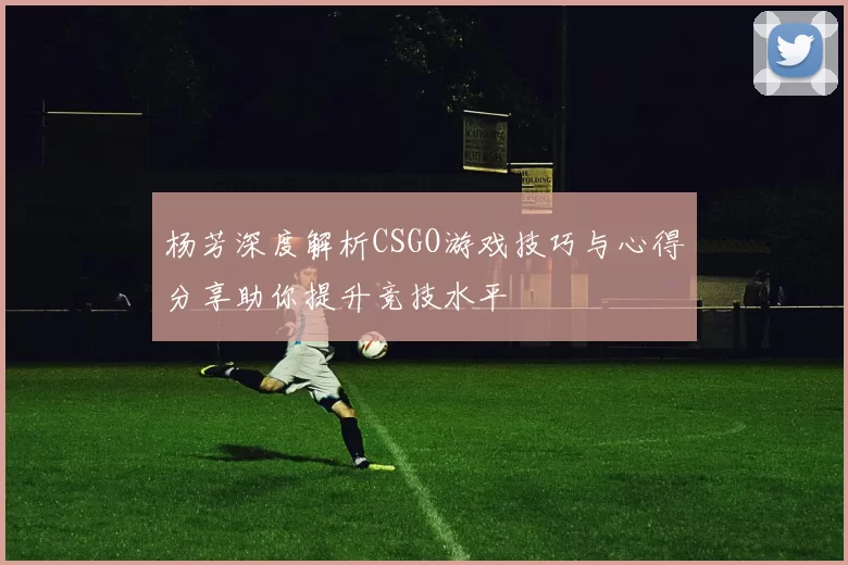 杨芳深度解析CSGO游戏技巧与心得分享助你提升竞技水平