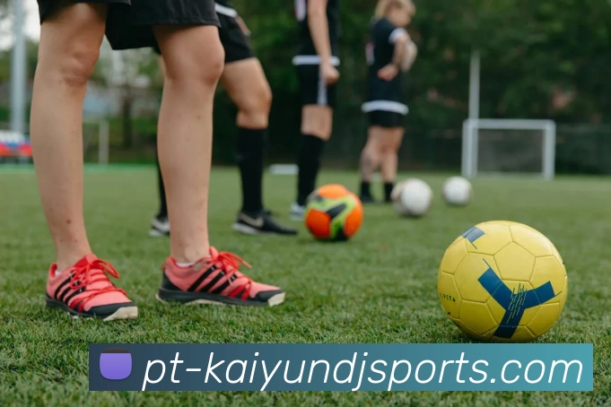 App Interface Preview