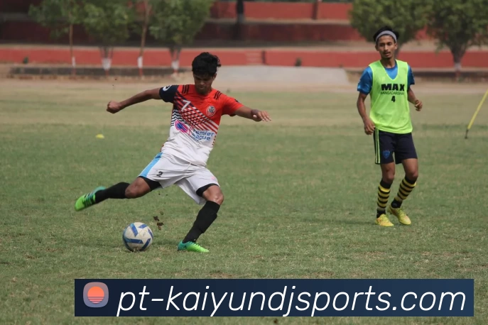 开云体育APP 封面图